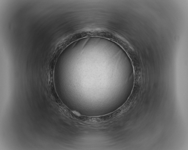 X0000116340966200912091106