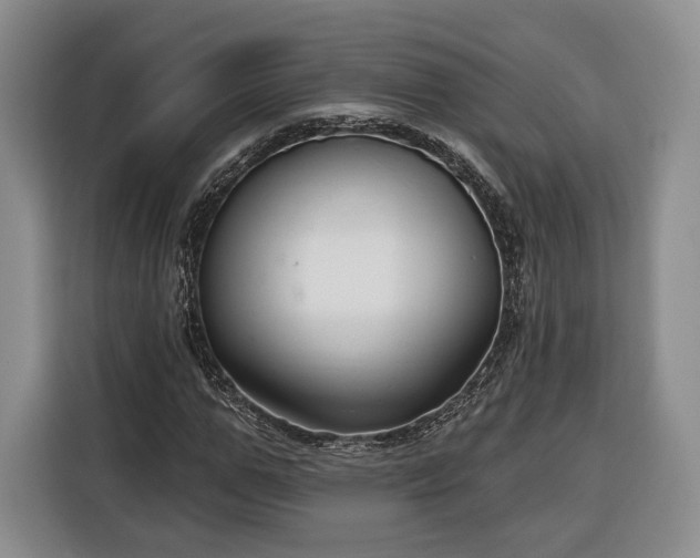 X0000116340967200912091106