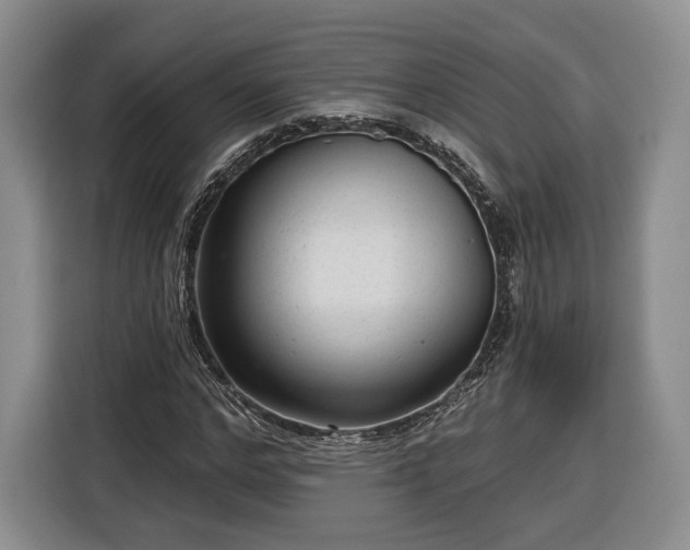 X0000116340968200912091106