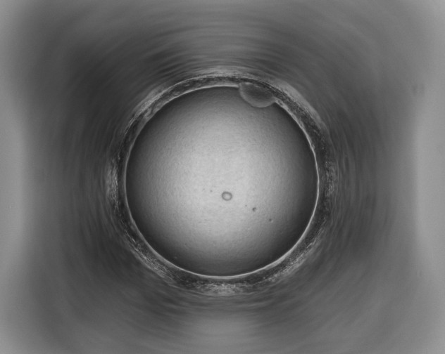 X0000116340969200912091106