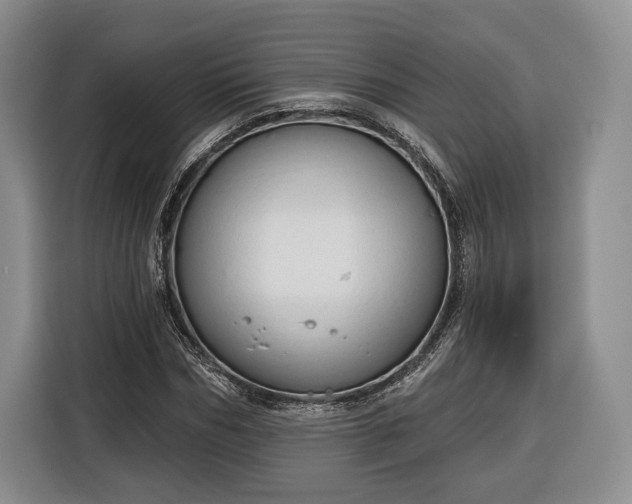 X0000116340970200912091106