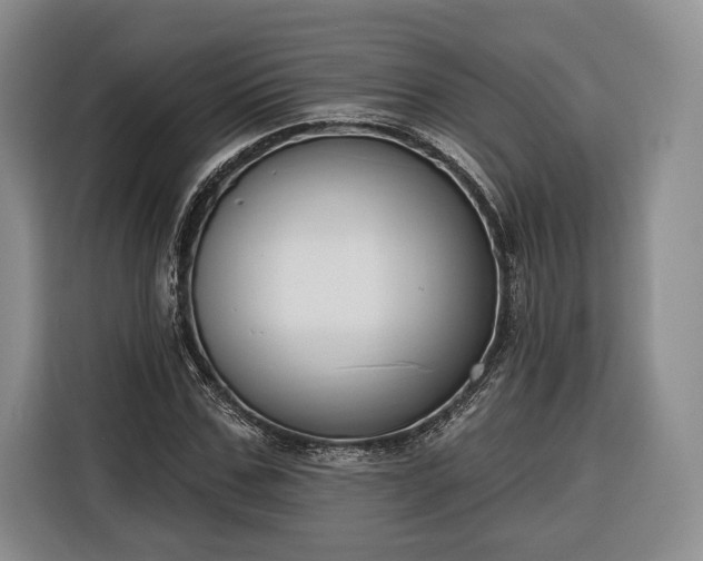 X0000116340971200912091106