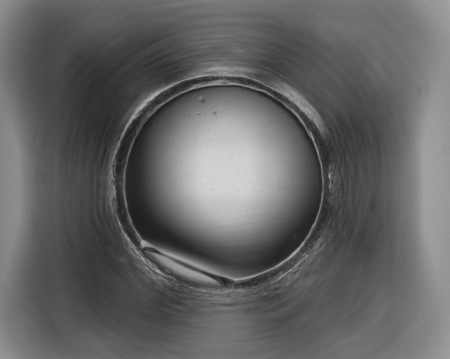 X0000116340972200912091106