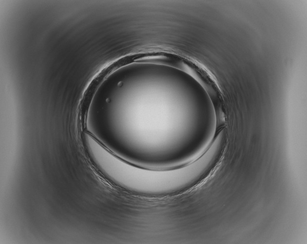 X0000116340973200912091106