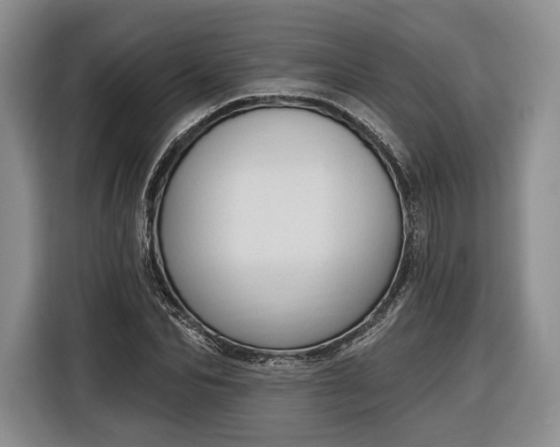 X0000116340974200912091106