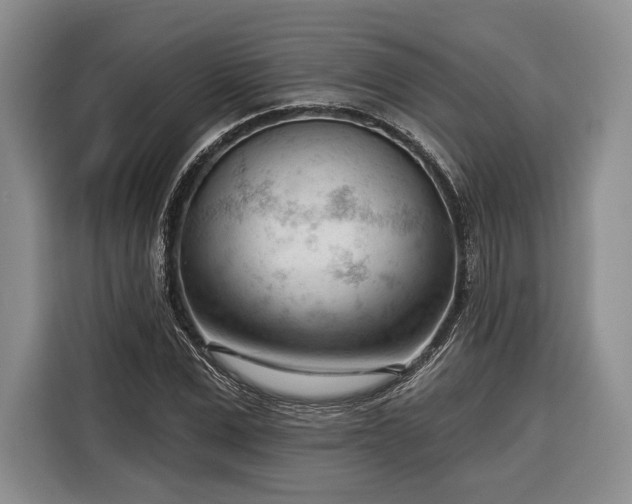 X0000116340975200912091106