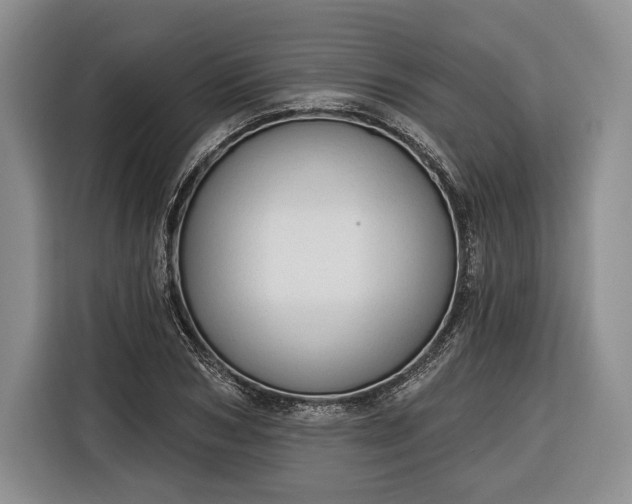 X0000116340978200912091106