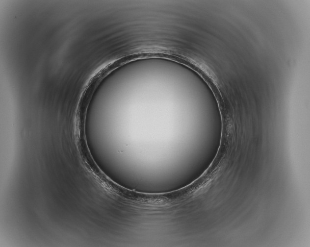 X0000116340979200912091106