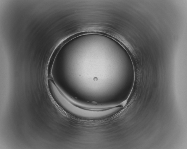 X0000116340980200912091106