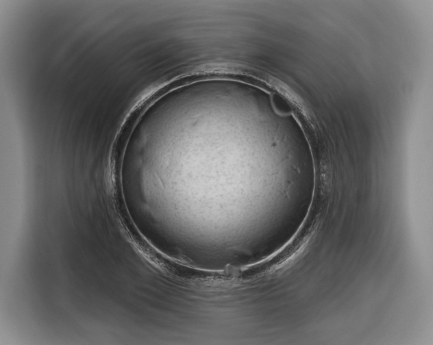 X0000116340981200912091106