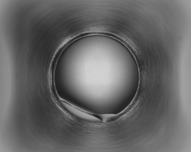 X0000116340982200912091106