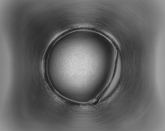 X0000116340983200912091106