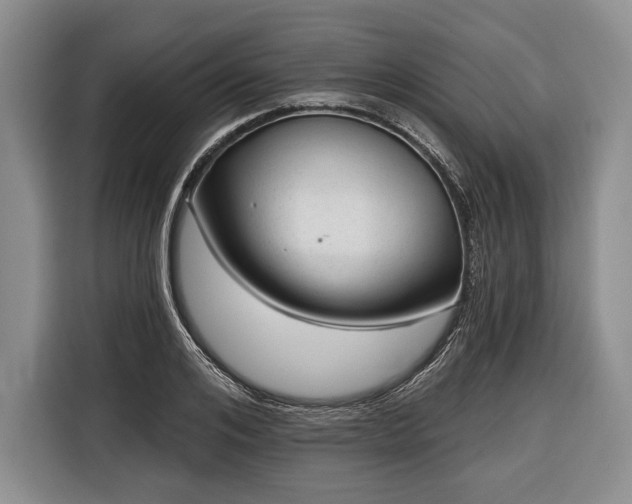 X0000116340984200912091106