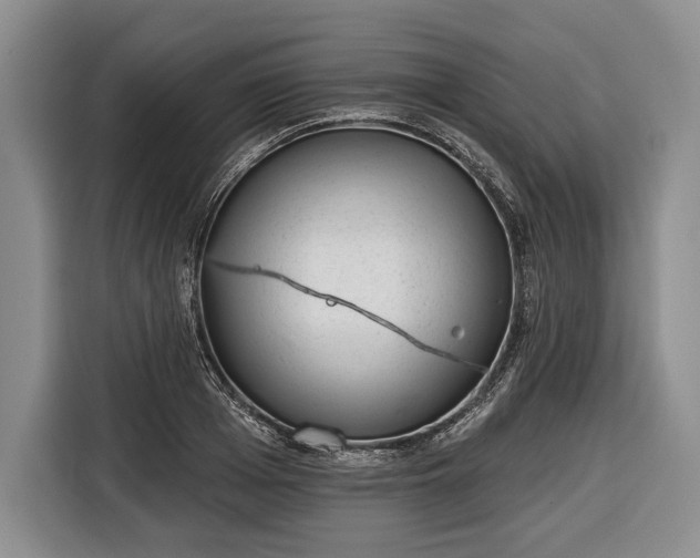 X0000116340985200912091106