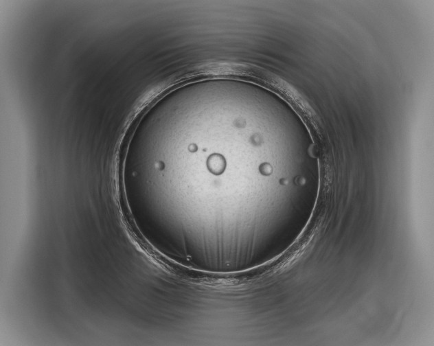 X0000116340986200912091106