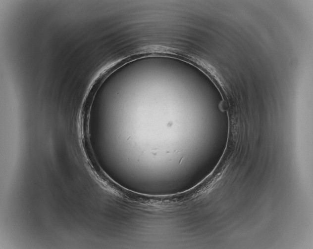 X0000116340987200912091106