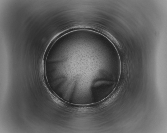 X0000116340988200912091106