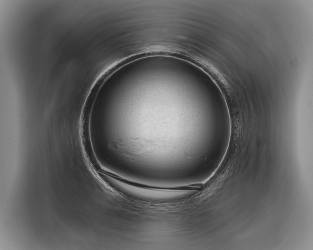 X0000116340991200912091106