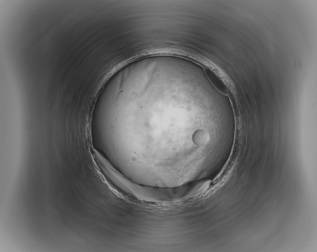 X0000116340993200912091106