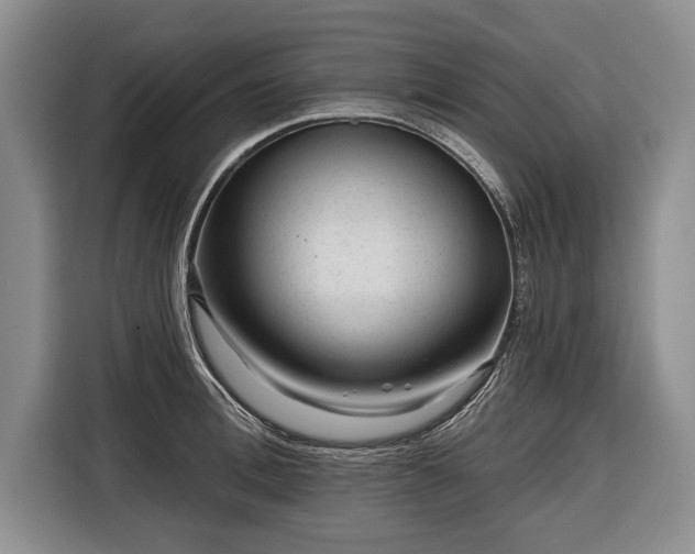 X0000116340996200912091106