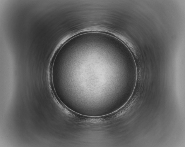 X0000116340998200912091106