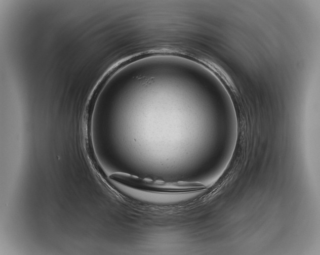 X0000116341000200912091106