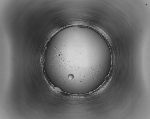 X0000116341001200912091106