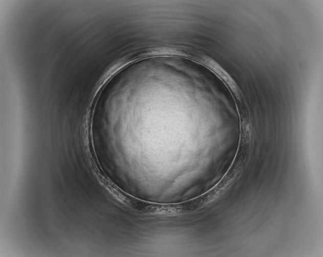 X0000116341002200912091106