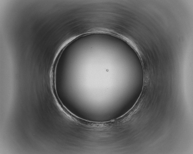 X0000116341003200912091106