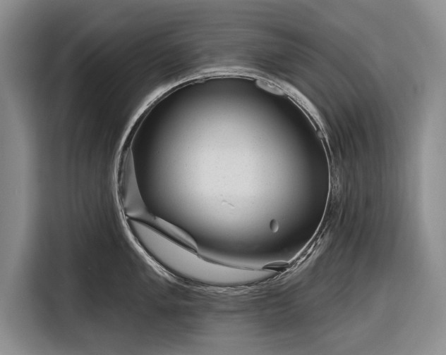 X0000116341005200912091106