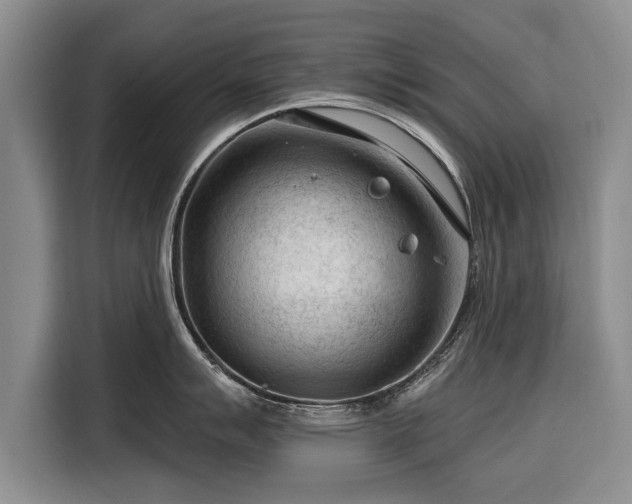 X0000116341007200912091106