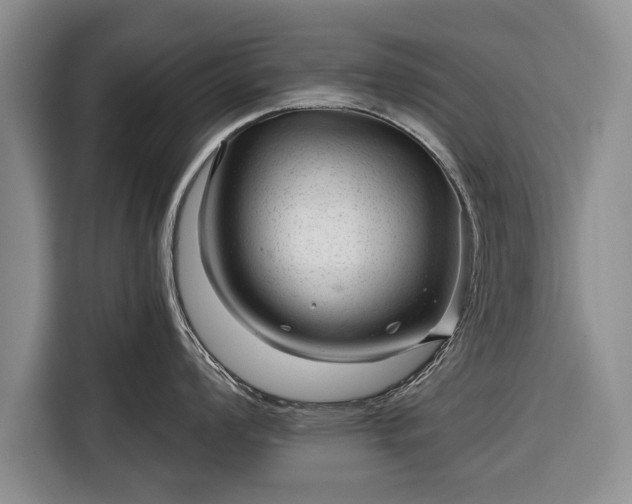 X0000116341008200912091106