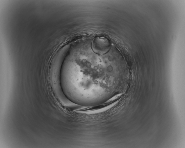 X0000116341009200912091105