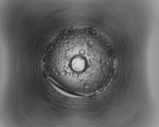 X0000116341011200912091105