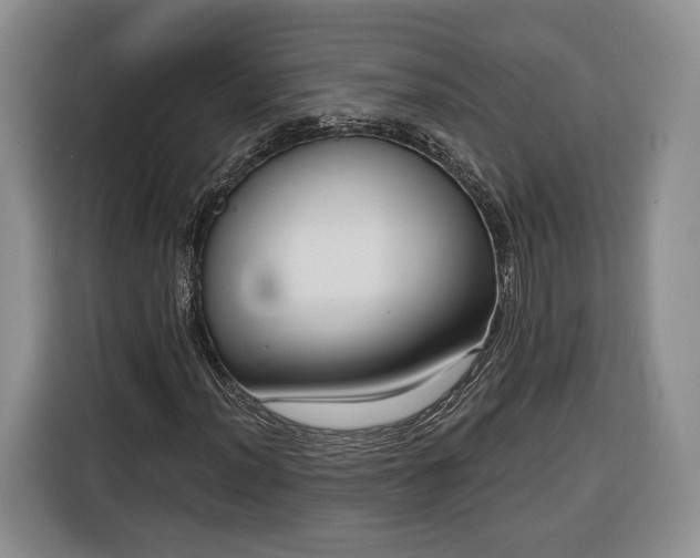 X0000116341012200912091105