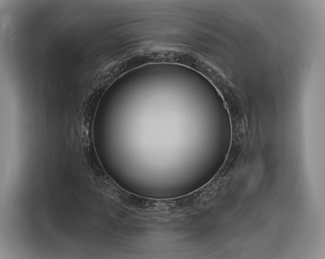 X0000116341013200912091105