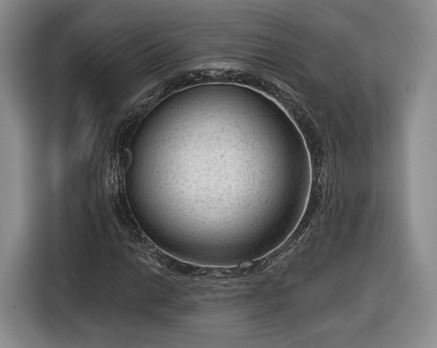 X0000116341014200912091105