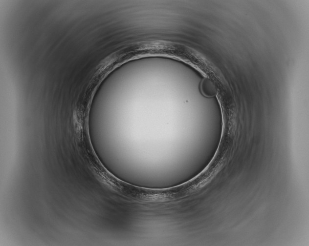 X0000116341017200912091105