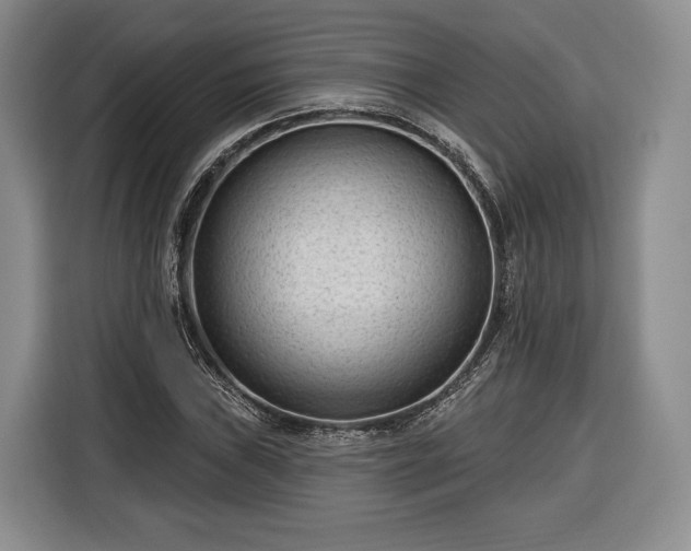 X0000116341019200912091105