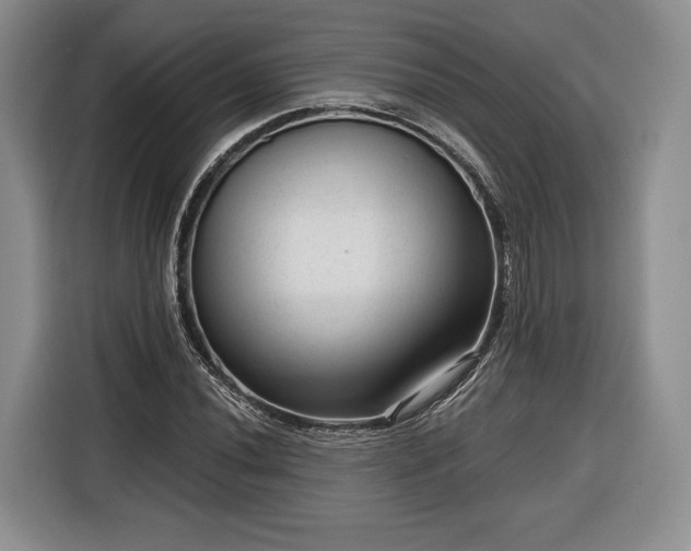 X0000116341020200912091105