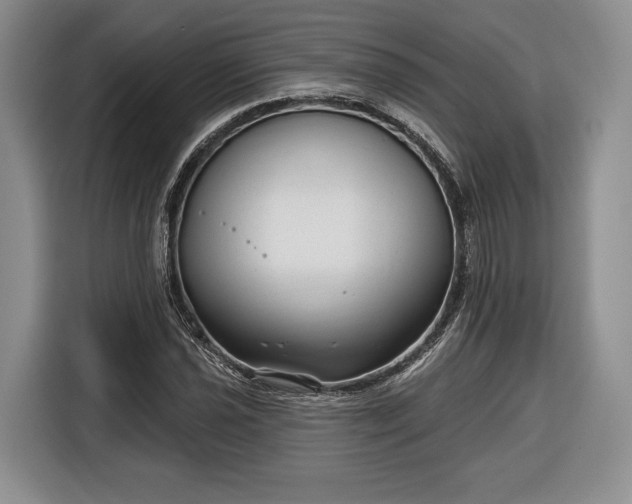 X0000116341021200912091105