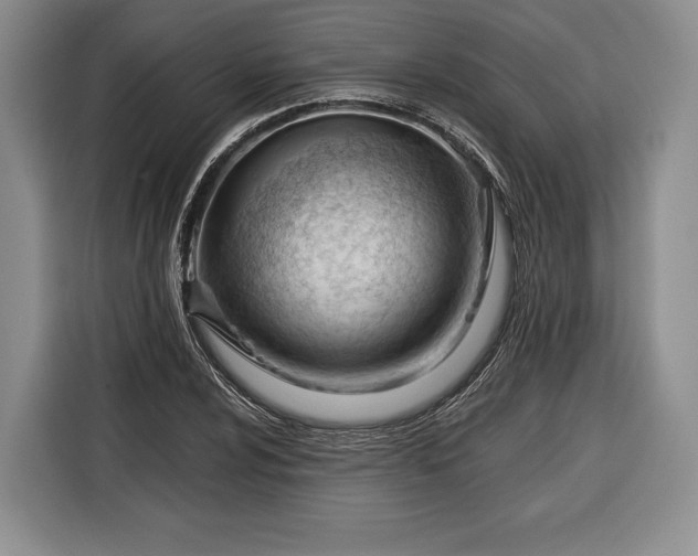 X0000116341024200912091105