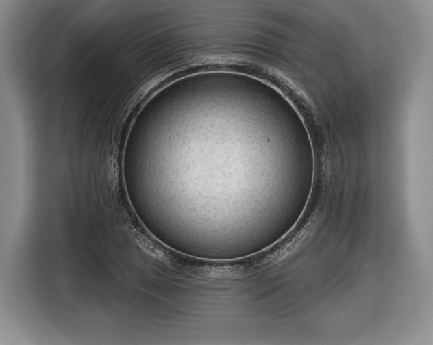 X0000116341025200912091105