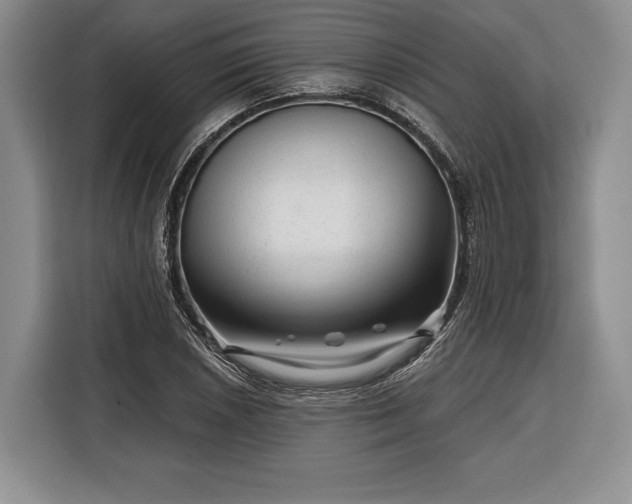 X0000116341026200912091105