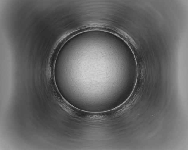 X0000116341027200912091105