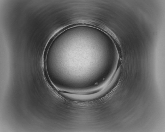 X0000116341028200912091105