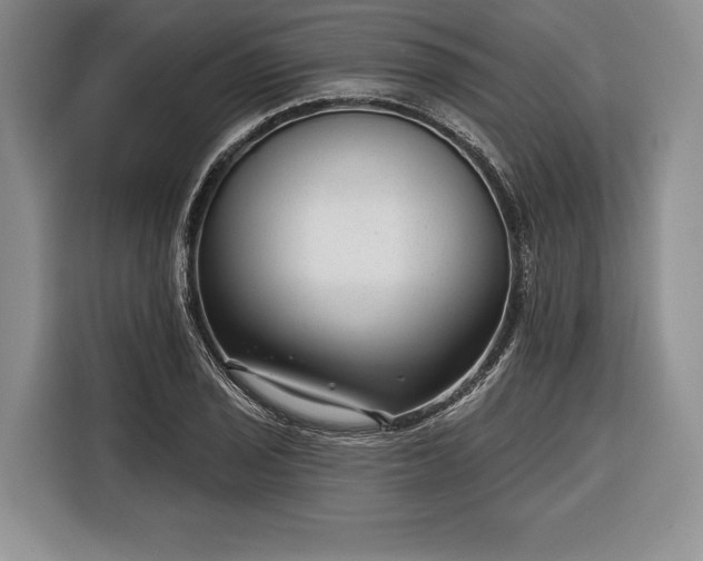 X0000116341029200912091105