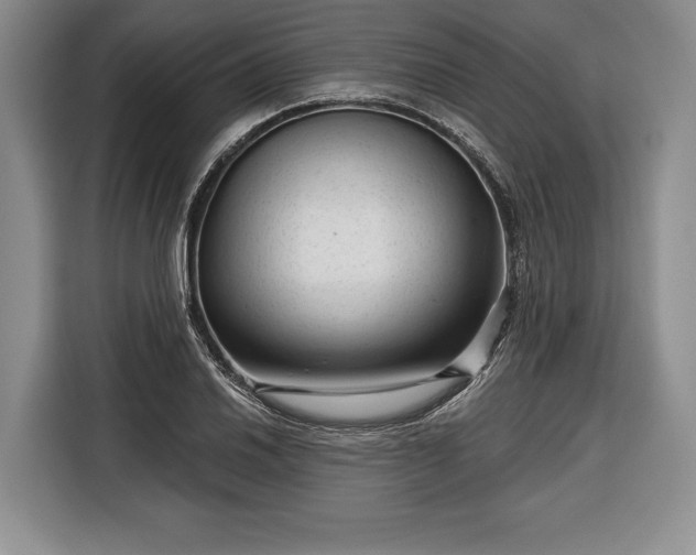 X0000116341030200912091105