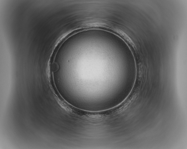 X0000116341031200912091105