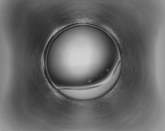 X0000116341032200912091105